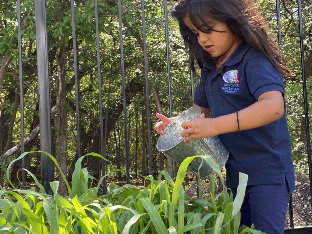 Children gardening at Montessori Kids Universe Beverly
